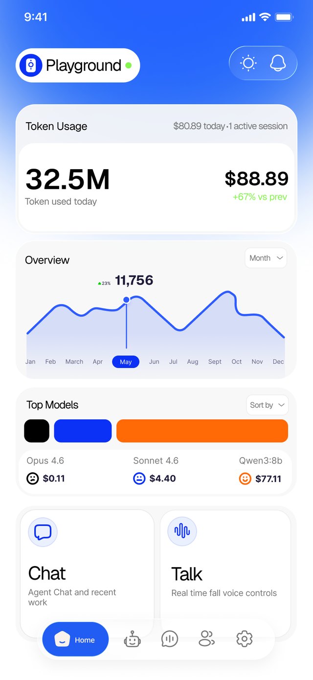 Home dashboard: token usage, today's spend, a monthly overview chart, top models by cost, and Chat and Talk shortcuts